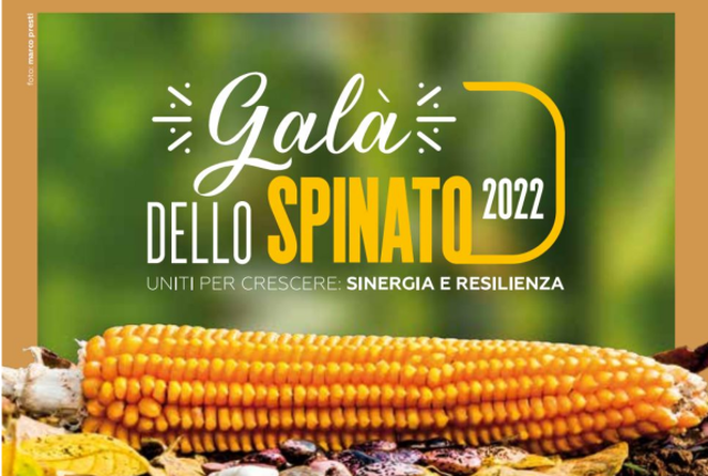 Gala Spinato 594x400-1