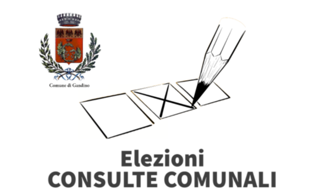 Elezioni Consulte_ok